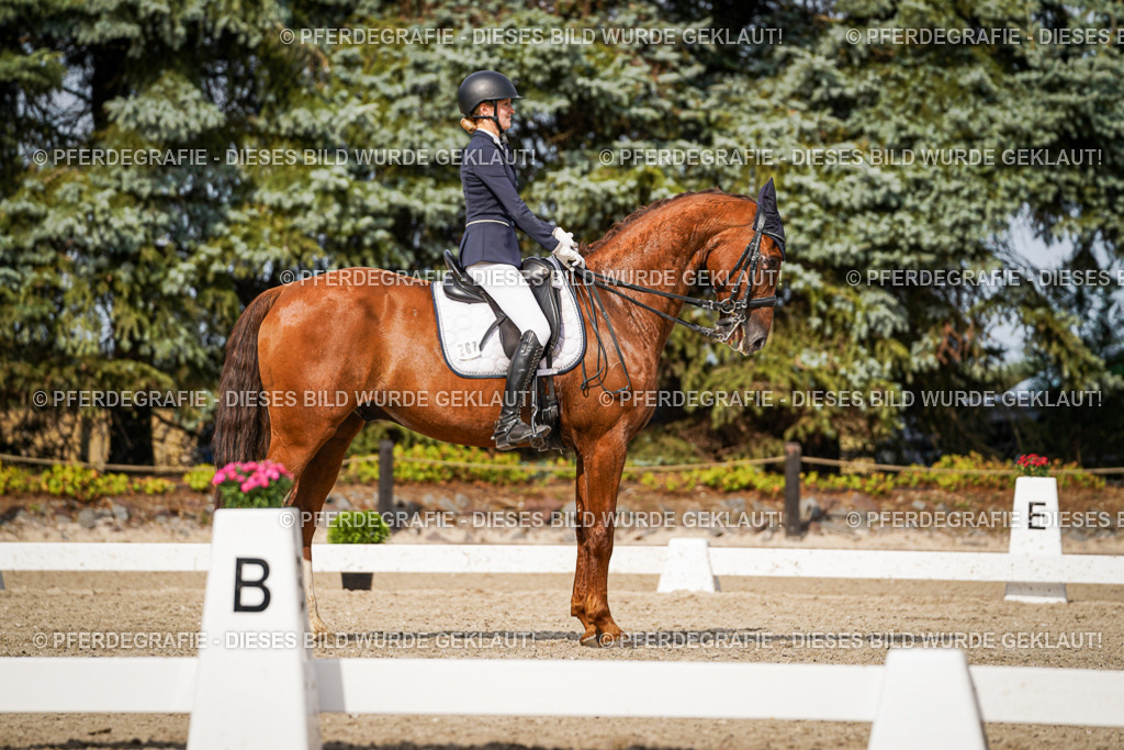 DSC07324 | Pferdegrafie