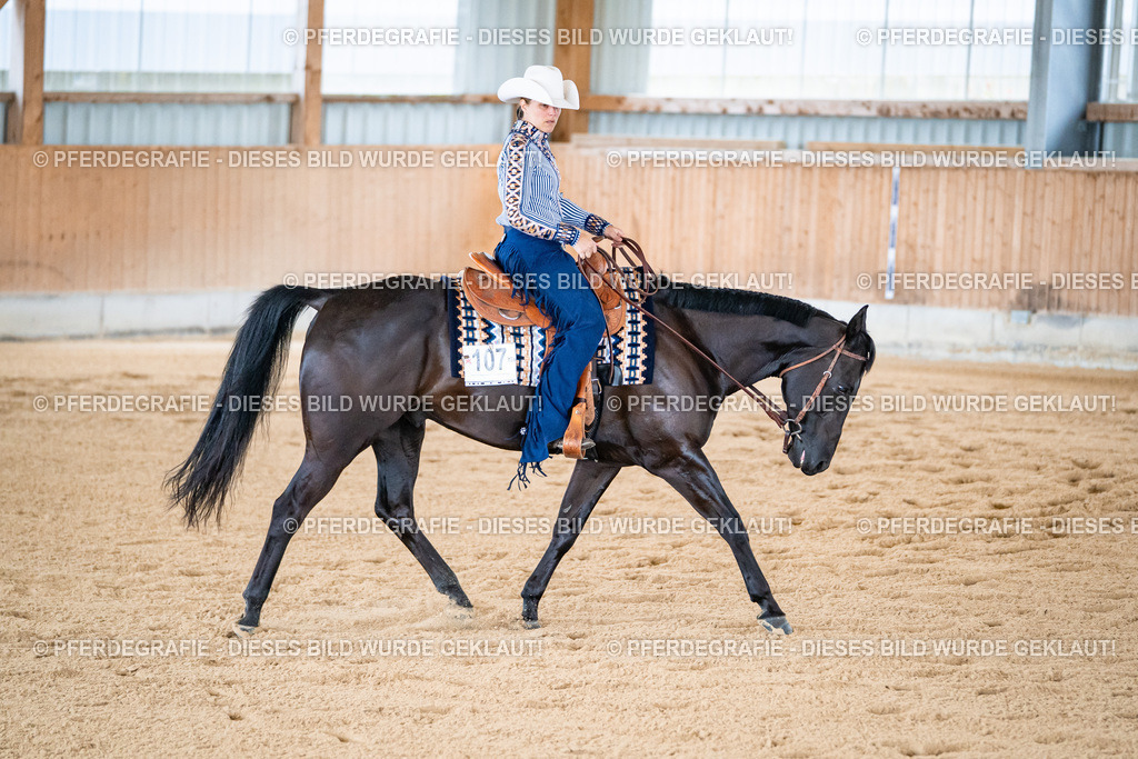 DSC01930 | Pferdegrafie