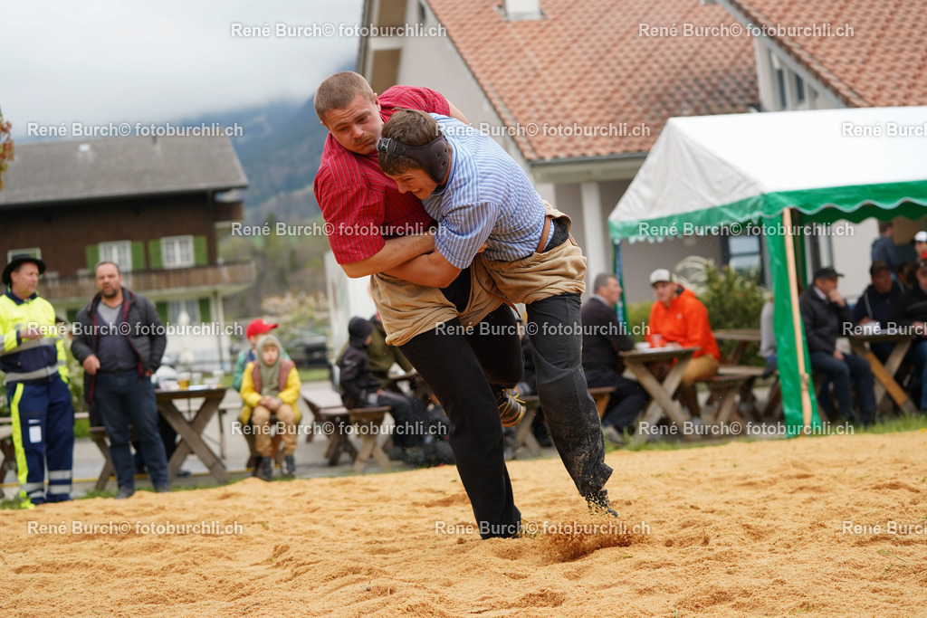 20220424-DSC09466 | René Burch leidenschaftlicher Fotograf aus Kerns in Obwalden.  Hier finden sie Sport, Landschaft und Natur Fotografie.
 - Realisiert mit Pictrs.com