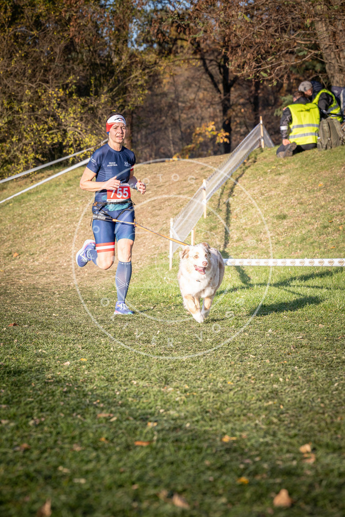 CaniXpix_0L8A0027 | Hundefotografie, Tierfotograf, Pfotenfotografie, Fotoshooting Hund, Hunde Portrait, Hundesport, Hundeportraits, Heideshooting, Hunde, Sportfotograf, Hundefotograf, Turnierhundsport, THS,  - Realisiert mit Pictrs.com
