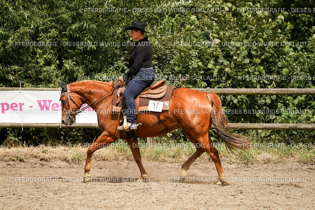 DSC00561 | Pferdegrafie