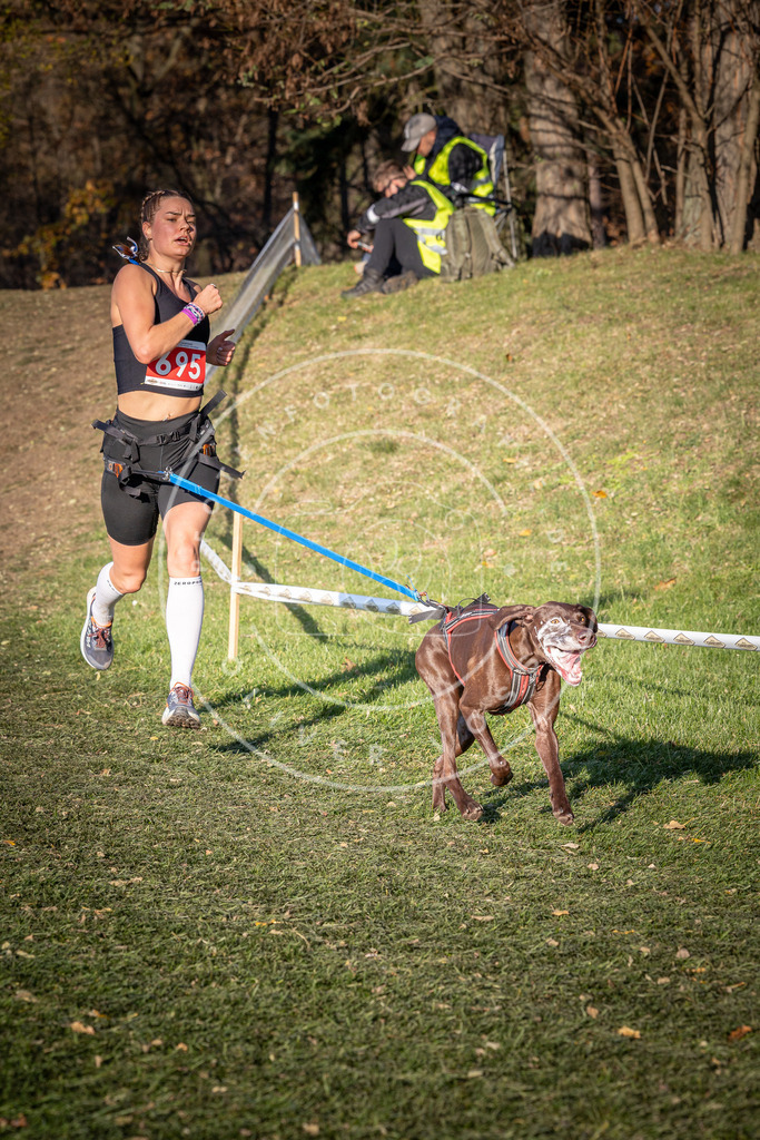 CaniXpix_0L8A9412 | Hundefotografie, Tierfotograf, Pfotenfotografie, Fotoshooting Hund, Hunde Portrait, Hundesport, Hundeportraits, Heideshooting, Hunde, Sportfotograf, Hundefotograf, Turnierhundsport, THS,  - Realisiert mit Pictrs.com
