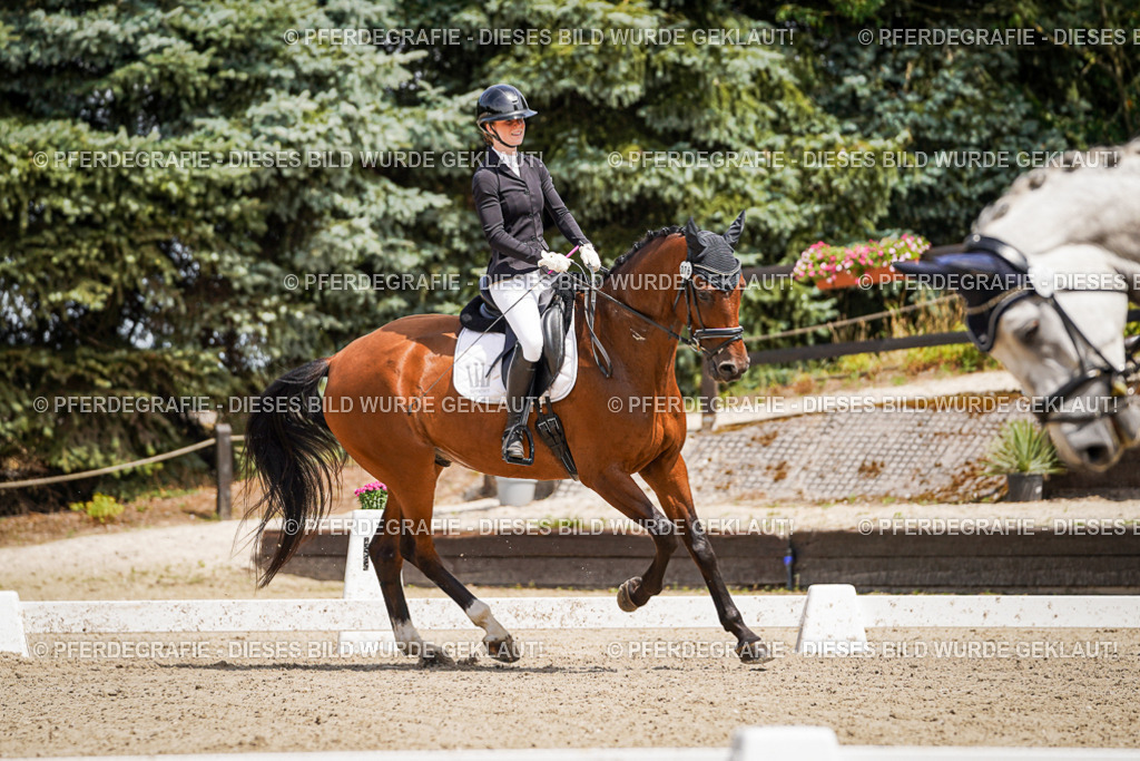 DSC02446 | Pferdegrafie