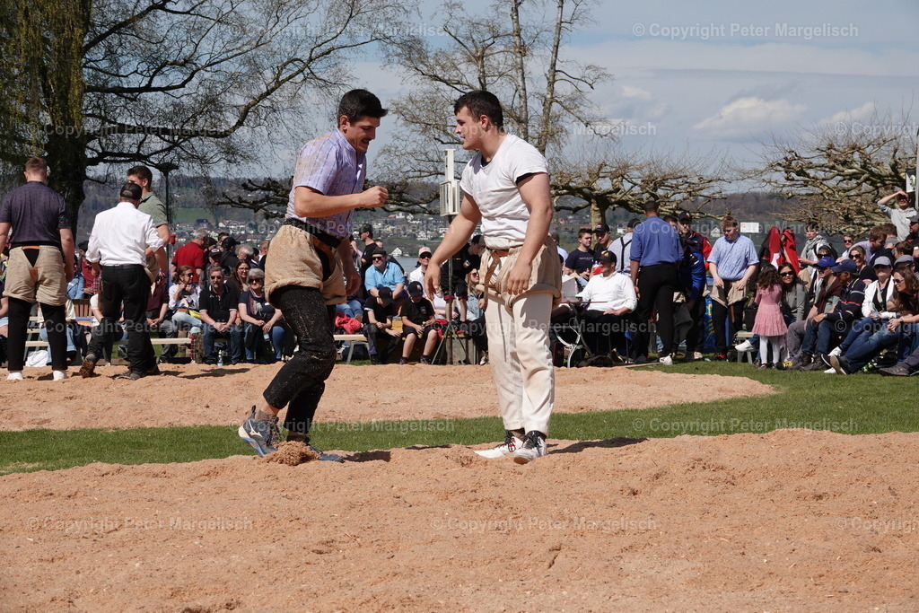DSC02335 | Schwingen - Realisiert mit Pictrs.com