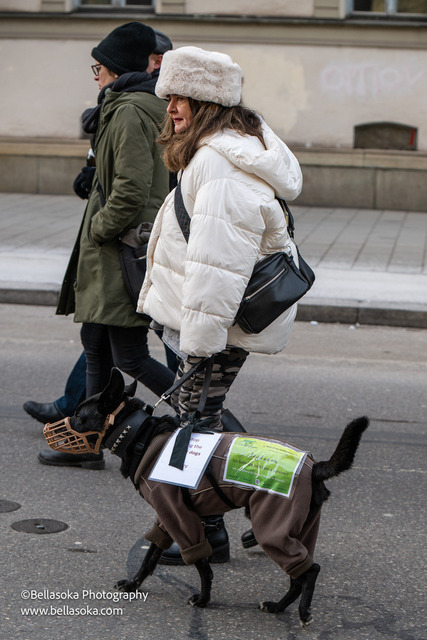 Galgomarsch2026-87 | Augenblicke kommen und gehen, Erinnerungen bleiben. Als Tierfotografin schaffe ich liebevolle Erinnerungen an unsere tierischen Familienmitglieder, ohne Stress und Druck.
Buchbar für den Raum München und Landkreis Dachau  - Realisiert mit Pictrs.com