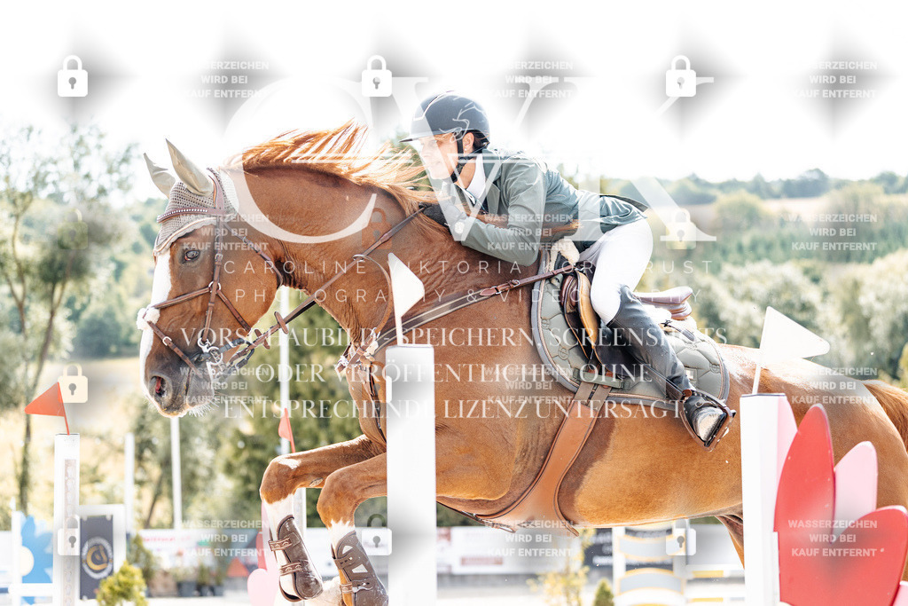 CK908863 | Turnierfotografie Pferdefotografie Trier Rheinland-Pfalz Pferdesport Reitsport Tierfotografie Sportfotografie Pferdevideo Pferdevideografie Equestrianvideography equestrianphotography  - Realisiert mit Pictrs.com