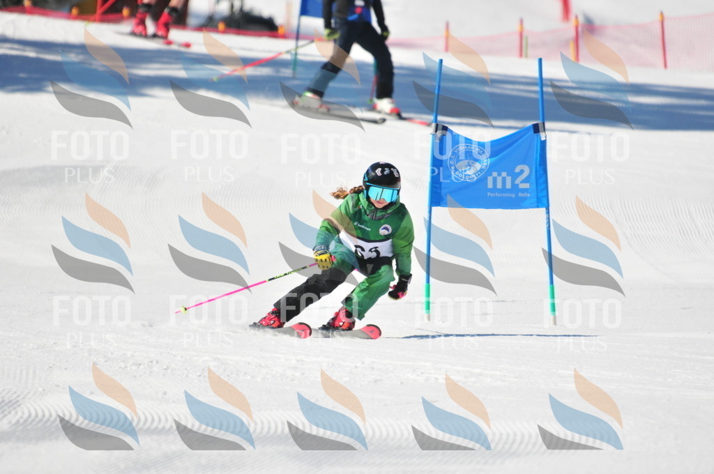 C2959 | holidayphoto