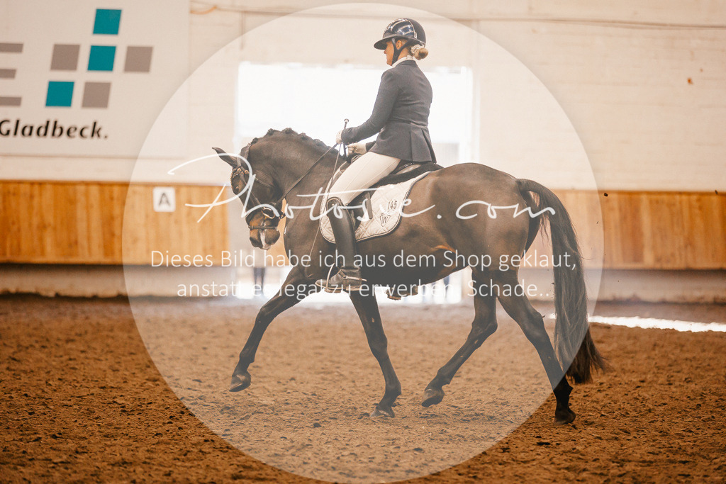 3I6A2038 | Stimmungsvolle Portraits und Reitsportfotografie im Ruhrgebiet und im Münsterland.

Pferdefotografie, Hundefotografie, Tierfotografie, Reportagen, Portraits von Tier und Mensch, Turnierfotografie in Bochum, Recklinghausen, Marl, Haltern am See, Dülmen.. - Realisiert mit Pictrs.com