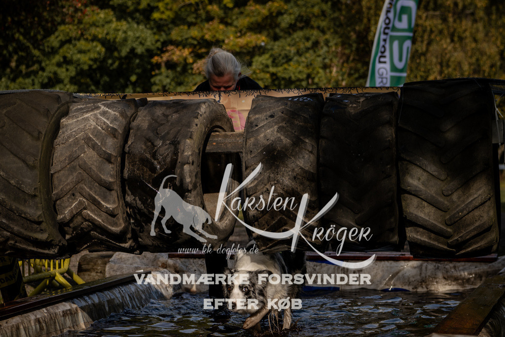 1301_ZZ91623 | kk-dogfotos