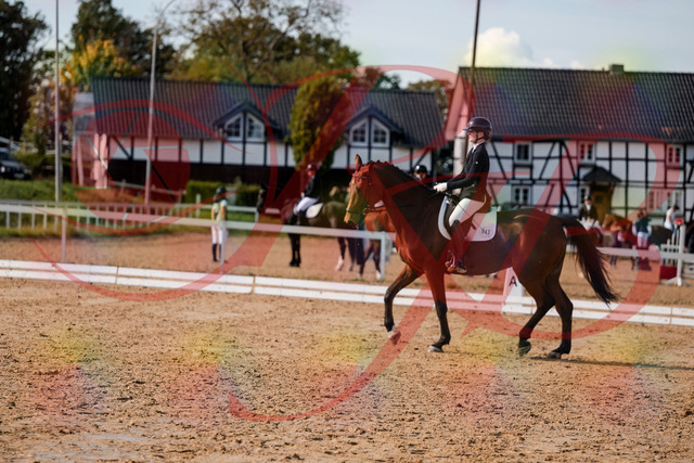 2026_10_03_Siefer-Hof_131025_Z63_72889544 | Professionelle Reitsport-, Turnier- und Eventfotografie von Robert Broda. Galerien mit ausgewählten und bearbeiteten Bildern direkt online ansehen und bestellen.