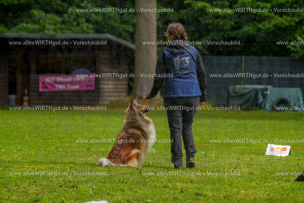 @allesWIRTHgut_Tierfotografie - www.allesWIRTHgut.de - 7R502966 | Professionelle Tierfotografie in Mönchengladbach von Daniel Wirth (allesWIRTHgut). Liebevolle & natürliche Bilder von Hunden & Katzen für unvergessliche Erinnerungen.