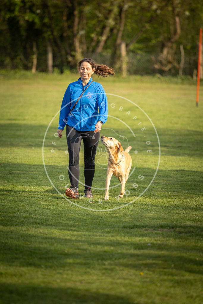 Pfotenfotografie_DV3A4776 | Hundefotografie, Tierfotograf, Pfotenfotografie, Fotoshooting Hund, Hunde Portrait, Hundesport, Hundeportraits, Heideshooting, Hunde, Sportfotograf, Hundefotograf, Turnierhundsport, THS,  - Realisiert mit Pictrs.com