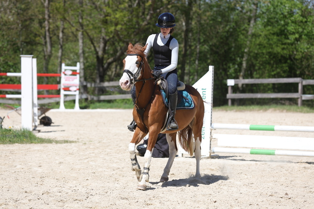 0P6A8848 | Willkommen bei Brunnmayr - Design & Fotografie – Ihrem Spezialisten für Reitturniere und Pferdeveranstaltungen in Oberösterreich, Salzburg und Bayern! Seit über 17 Jahren sind wir leidenschaftlich dabei.