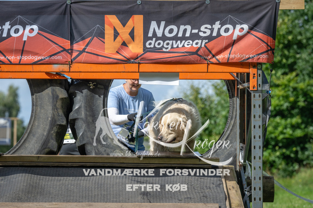 1548_ZZ94271 | kk-dogfotos