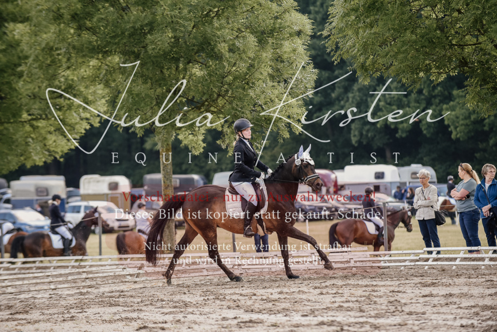 DSC_8199 | Pferde- und Turnierfotografie in Westsachsen. Pferdeportraits, Auftragszeichnungen und intuitive Kunst.
