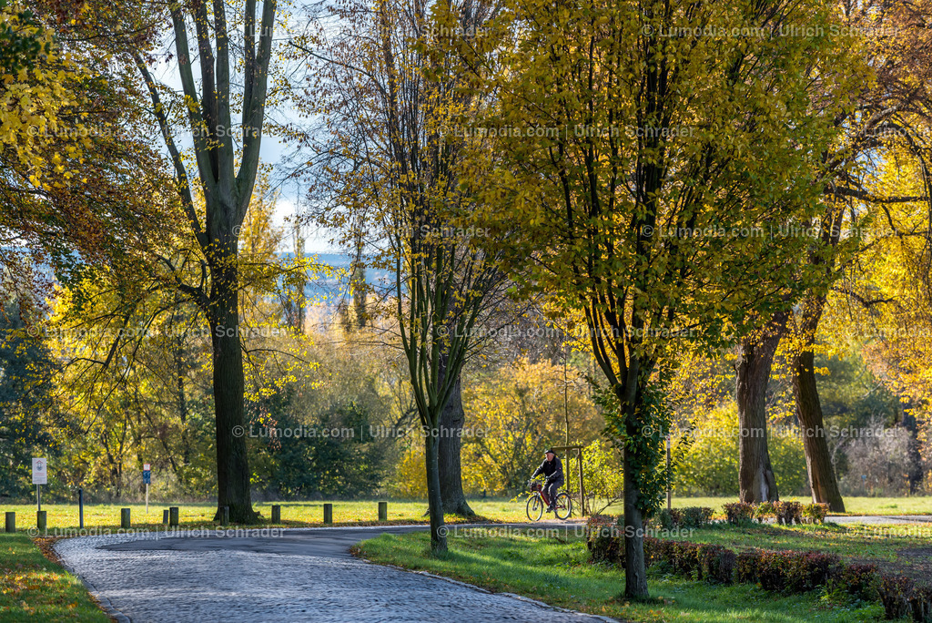 10049-5432 - Brühlpark _ Quedlinburg | Stockfoto und Bilderpool mit Bildmaterial aus Deutschland, dem Harz, Halberstadt, Quedlinburg, Wernigerode und weltweit. Qualitativ hochwertige und professionelle Fotos anschauen und kaufen. - Realisiert mit Pictrs.com