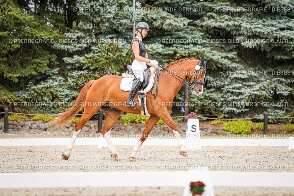 DSC07905 | Pferdegrafie