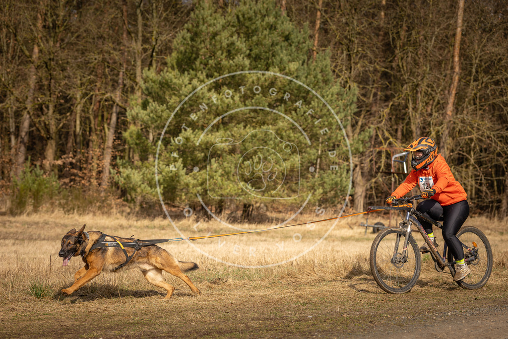 DV3A4257 | Hundefotografie, Tierfotograf, Pfotenfotografie, Fotoshooting Hund, Hunde Portrait, Hundesport, Hundeportraits, Heideshooting, Hunde, Sportfotograf, Hundefotograf, Turnierhundsport, THS,  - Realisiert mit Pictrs.com