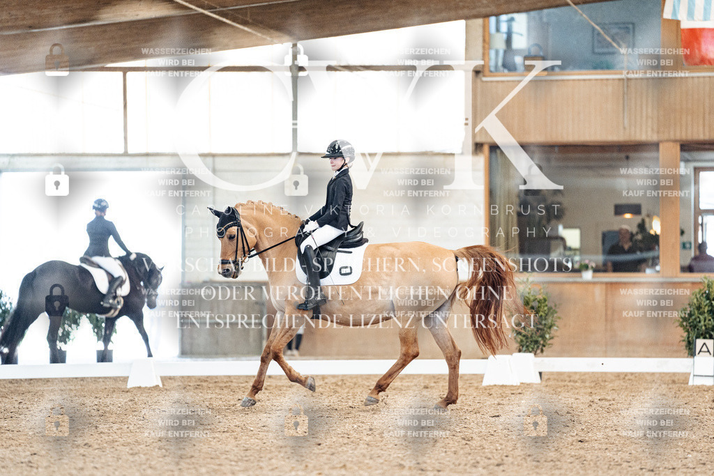 CK909617 | Turnierfotografie Pferdefotografie Trier Rheinland-Pfalz Pferdesport Reitsport Tierfotografie Sportfotografie Pferdevideo Pferdevideografie Equestrianvideography equestrianphotography  - Realisiert mit Pictrs.com