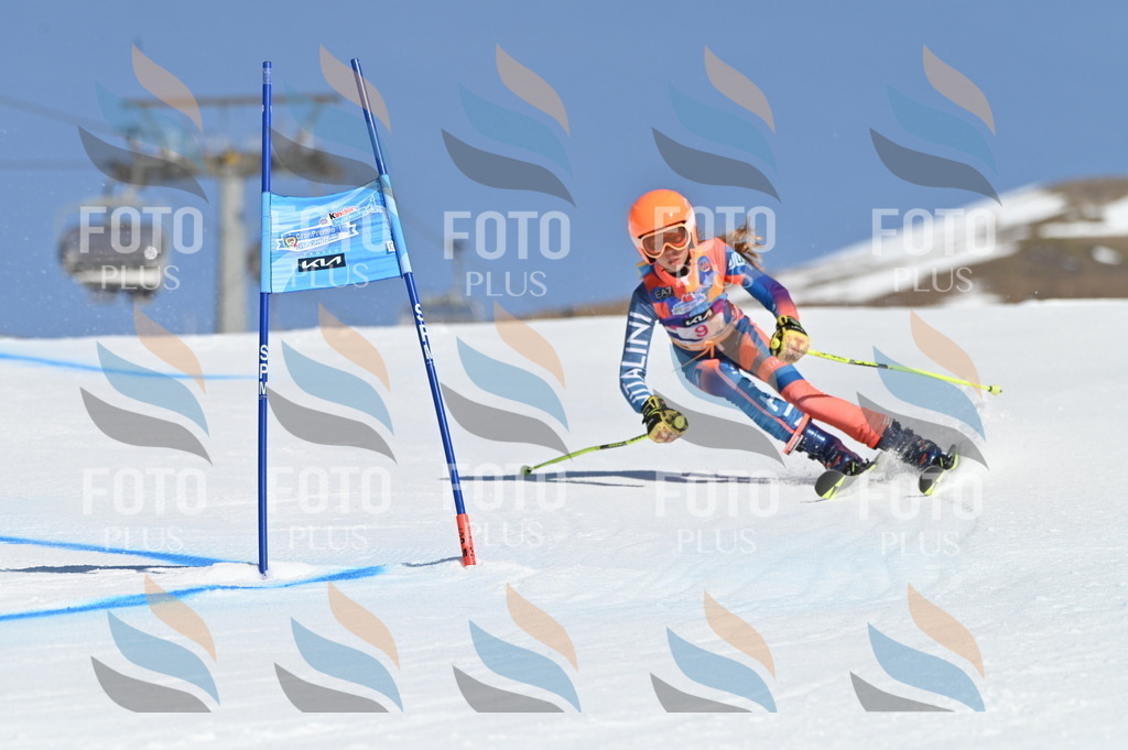 BGV_7730 | holidayphoto