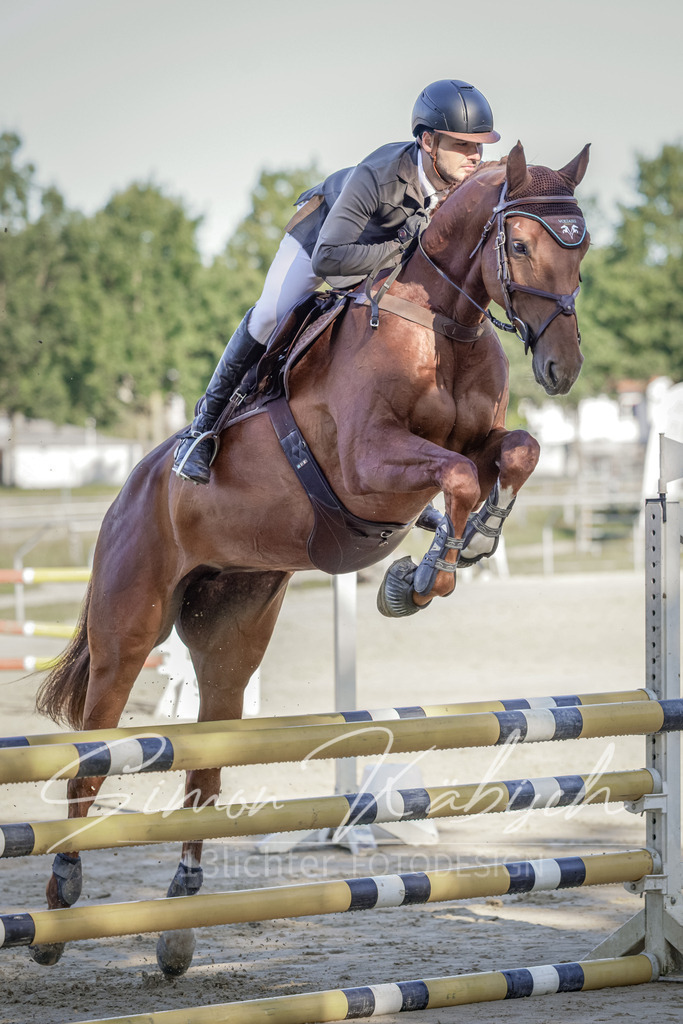 20250906-_3LI3139 | Tierfotografie Pferde, Hunde, Katzen, Haustiere.
Turnierfotografie Reitturniere, Reiten, Springreiten, Dressur in Hanau, dem Main-Kinzig-Kreis und dem Rhein-Main- Gebiet um Frankfurt