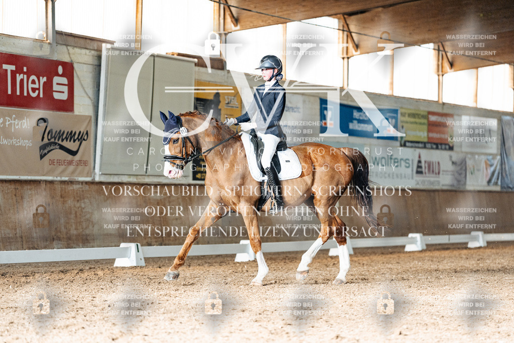 CK903274 | Turnierfotografie Pferdefotografie Trier Rheinland-Pfalz Pferdesport Reitsport Tierfotografie Sportfotografie Pferdevideo Pferdevideografie Equestrianvideography equestrianphotography  - Realisiert mit Pictrs.com