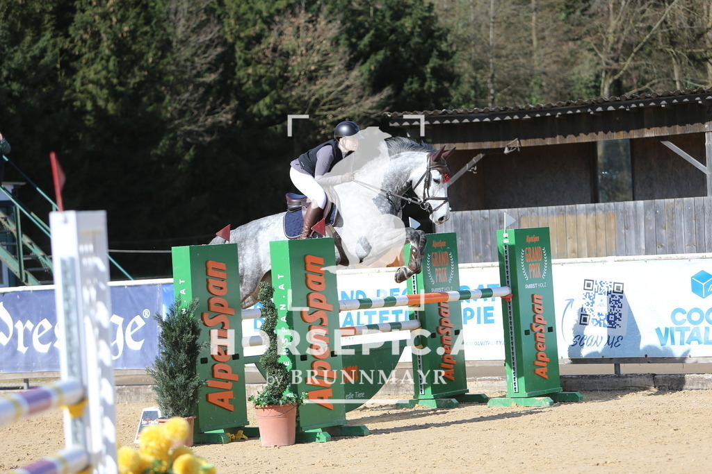 DL2Q4149 | Willkommen bei Brunnmayr - Design & Fotografie – Ihrem Spezialisten für Reitturniere und Pferdeveranstaltungen in Oberösterreich, Salzburg und Bayern! Seit über 17 Jahren sind wir leidenschaftlich dabei.