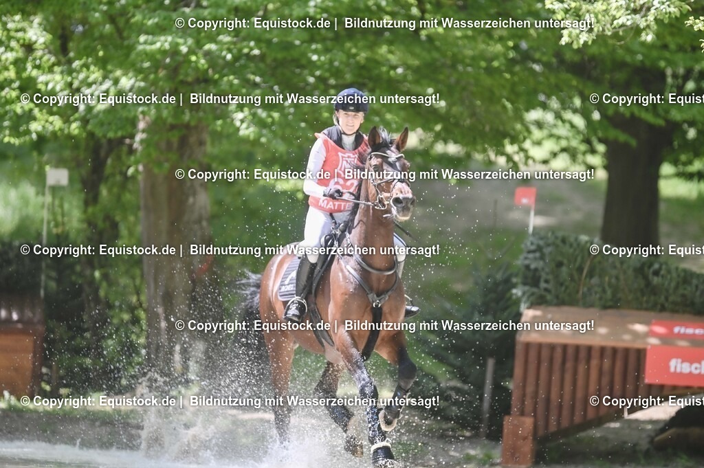 20250517_CCI2_Gelände_1700 | Foto: Thomas Hartig