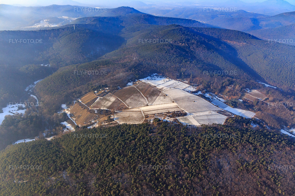 Luftbild: Haardtrand-Wolfsteig im Winter in Pleisweiler-Oberhofen im Bundesland Rheinland-Pfalz in Deutschland. Foto: IMG_096431.jpg vom 22.01.2017 durch Werner Riehm/FLY-FOTO.de