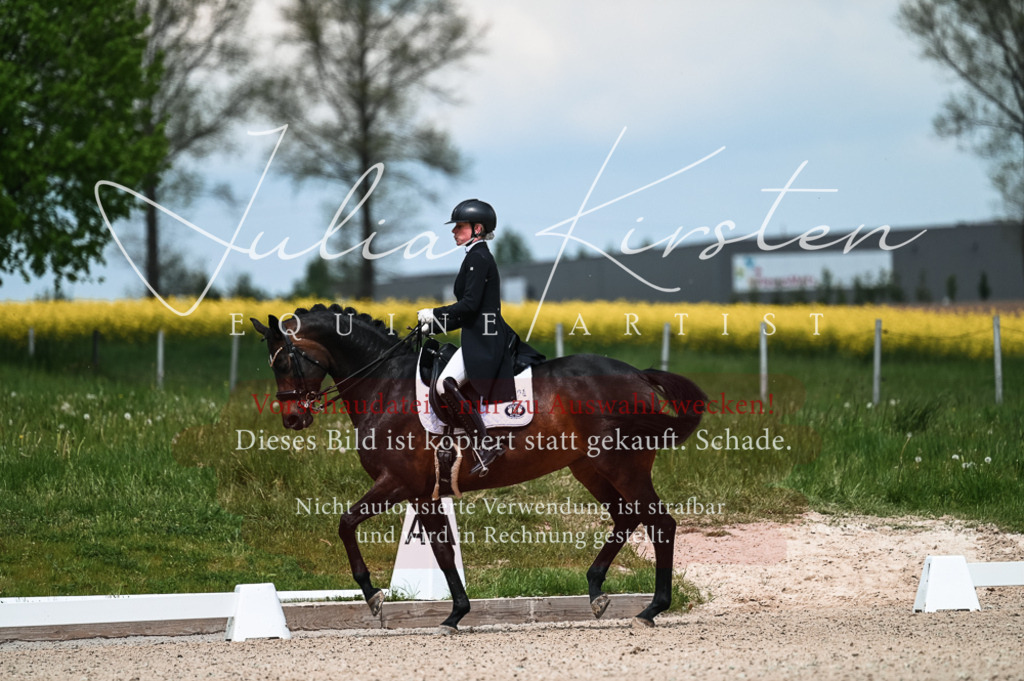 20230514_JK-Röhrsdorf-21-070 | Pferde- und Turnierfotografie in Westsachsen. Pferdeportraits, Auftragszeichnungen und intuitive Kunst.