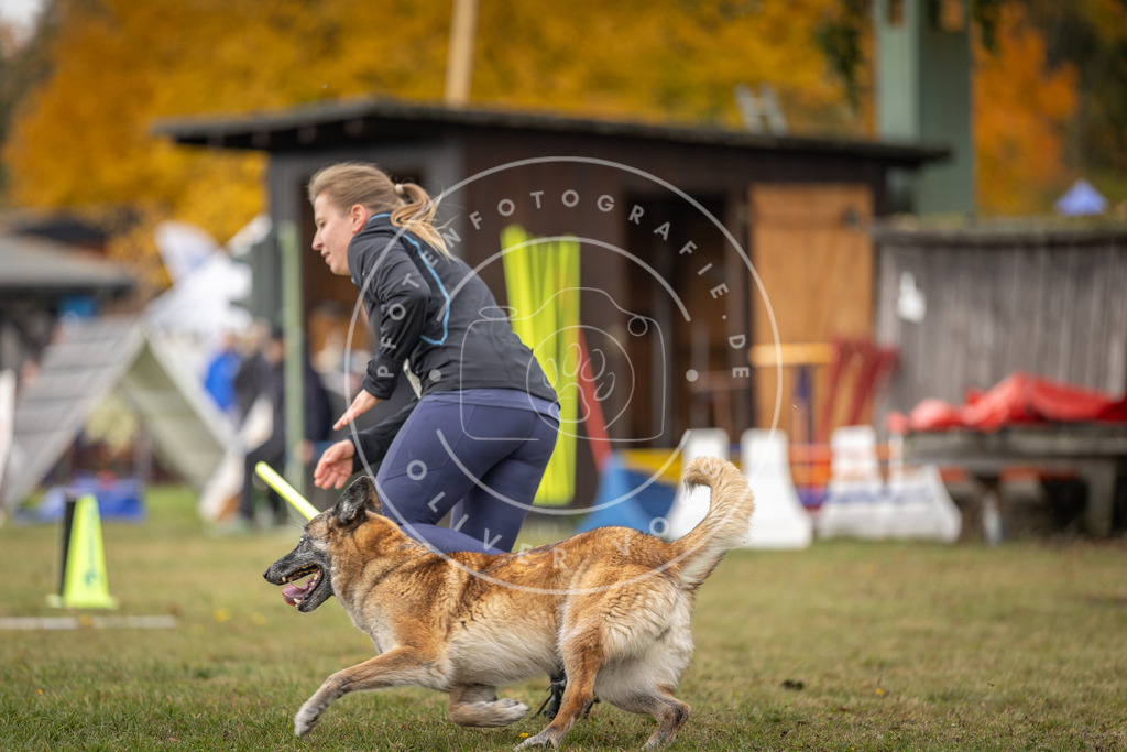Pfotenfotografie_DV3A6668 | Hundefotografie, Tierfotograf, Pfotenfotografie, Fotoshooting Hund, Hunde Portrait, Hundesport, Hundeportraits, Heideshooting, Hunde, Sportfotograf, Hundefotograf, Turnierhundsport, THS,  - Realisiert mit Pictrs.com
