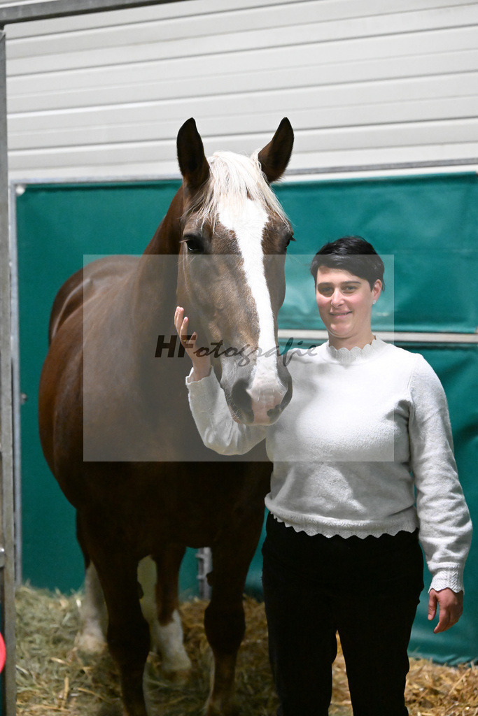 Kat-Nr. 25 Hakira v. Sambuca_Scholz_1261059 | hf-fotografie - Realisiert mit Pictrs.com