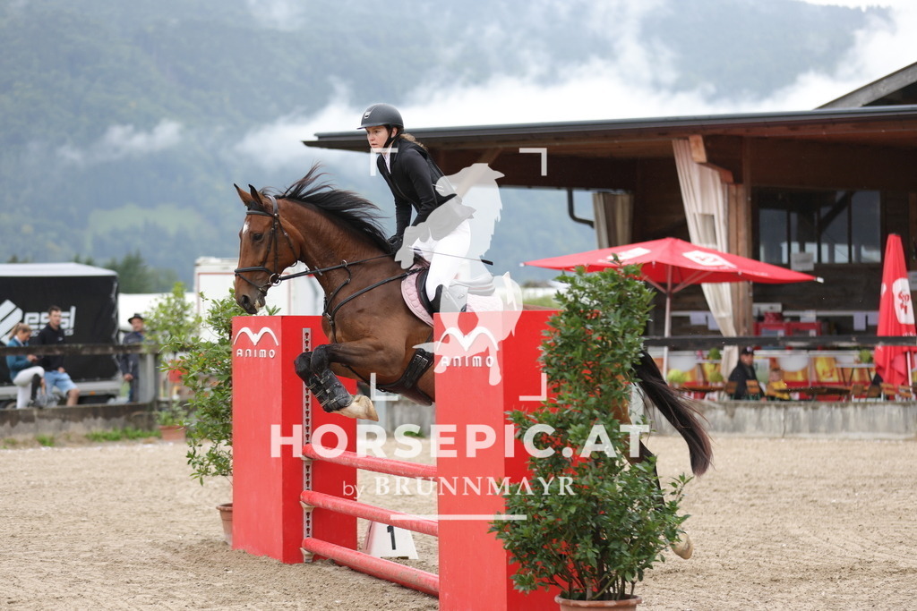 0P6A0953 | Willkommen bei Brunnmayr - Design & Fotografie – Ihrem Spezialisten für Reitturniere und Pferdeveranstaltungen in Oberösterreich, Salzburg und Bayern! Seit über 17 Jahren sind wir leidenschaftlich dabei.