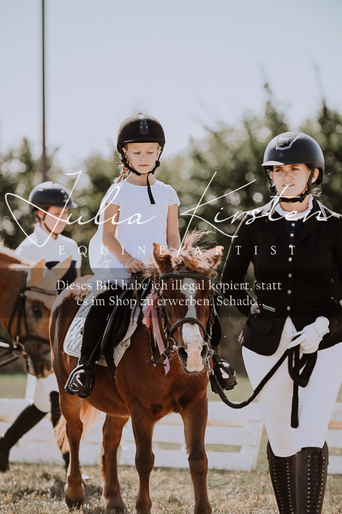 DSC_8897 | Pferde- und Turnierfotografie in Westsachsen. Pferdeportraits, Auftragszeichnungen und intuitive Kunst.
