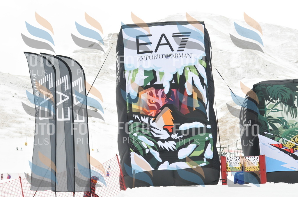 DSC_8731 | holidayphoto