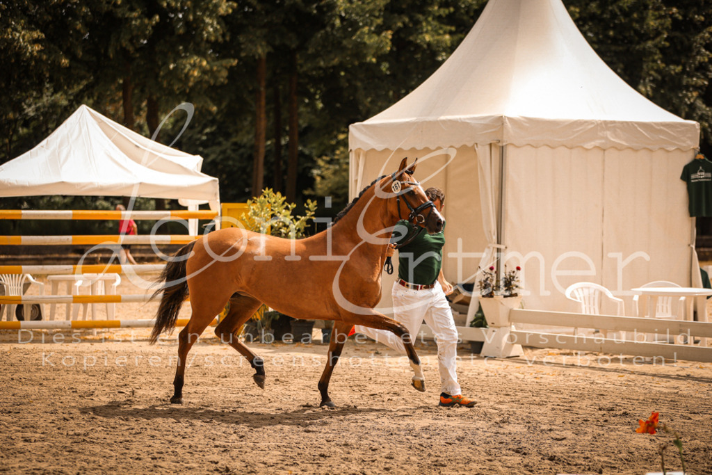 11.So00026 | Leoni Ertmer Photography - Realisiert mit Pictrs.com