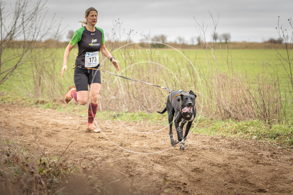 DV3A1992 | Hundefotografie, Tierfotograf, Pfotenfotografie, Fotoshooting Hund, Hunde Portrait, Hundesport, Hundeportraits, Heideshooting, Hunde, Sportfotograf, Hundefotograf, Turnierhundsport, THS,  - Realisiert mit Pictrs.com