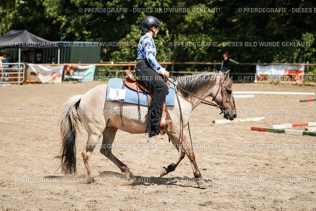 DSC07881 | Pferdegrafie