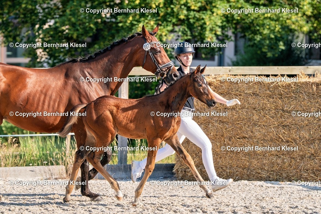 2A905947 | foto-team-bernhard - Realisiert mit Pictrs.com