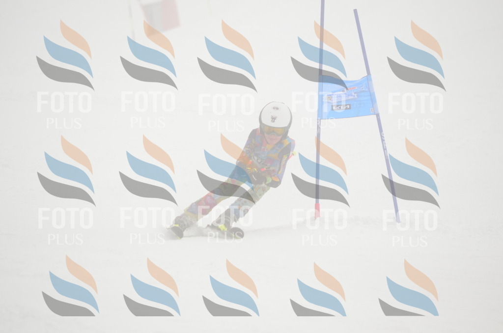 C1454 | holidayphoto