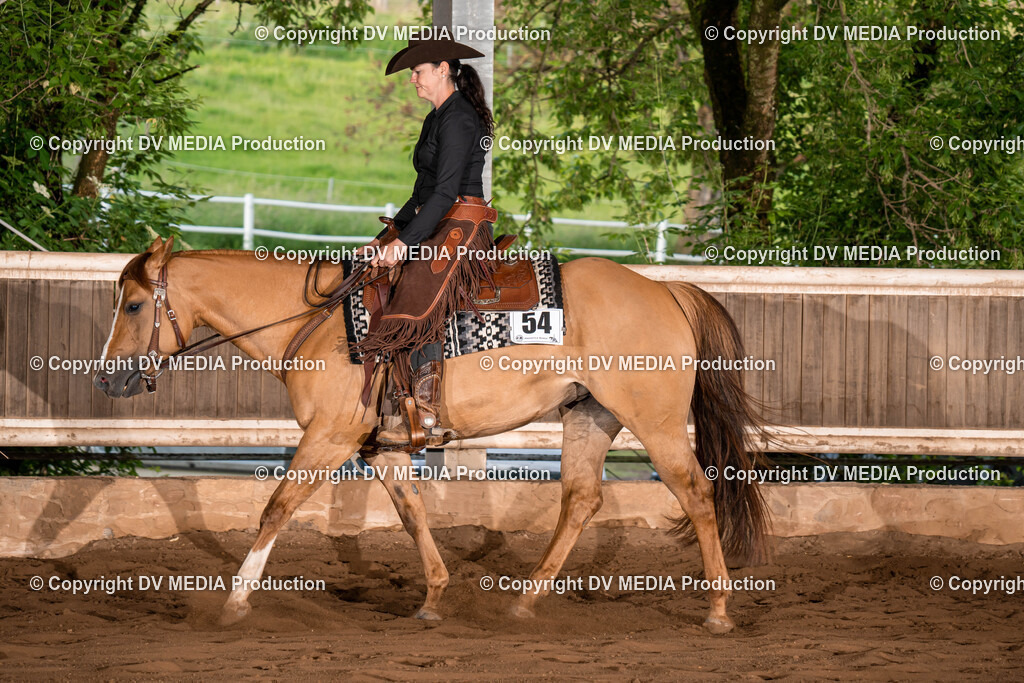 Erbach Tag 1-1041 | dv-media-shop - Realisiert mit Pictrs.com