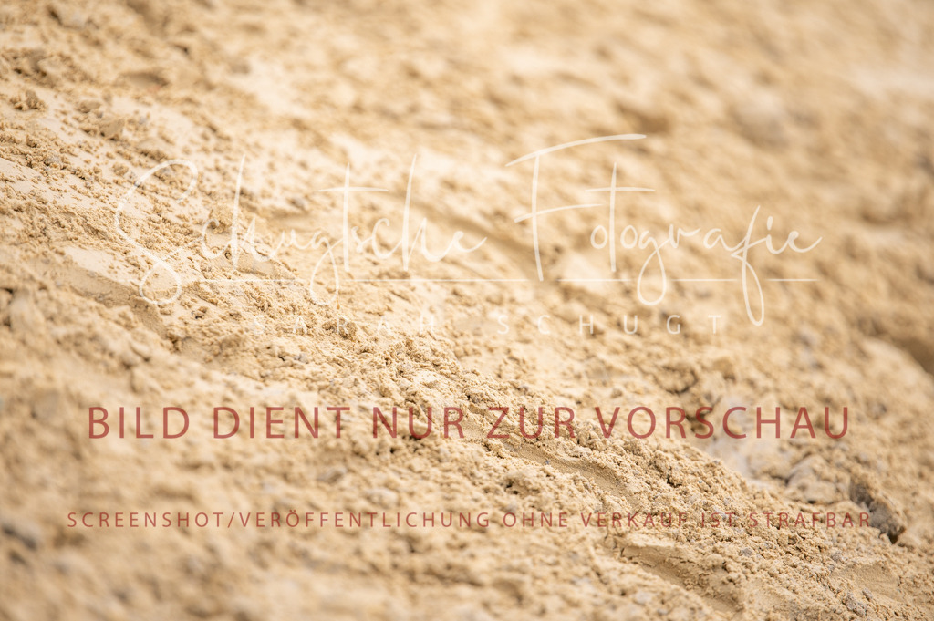 Schugtsche-Aluta25-40.DressurprfA_-440 | Schugtsche Fotografie - Realized with Pictrs.com