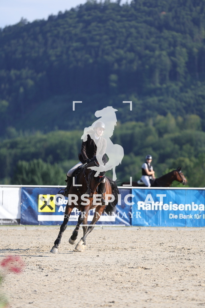 0P6A6649 | Willkommen bei Brunnmayr - Design & Fotografie – Ihrem Spezialisten für Reitturniere und Pferdeveranstaltungen in Oberösterreich, Salzburg und Bayern! Seit über 17 Jahren sind wir leidenschaftlich dabei.