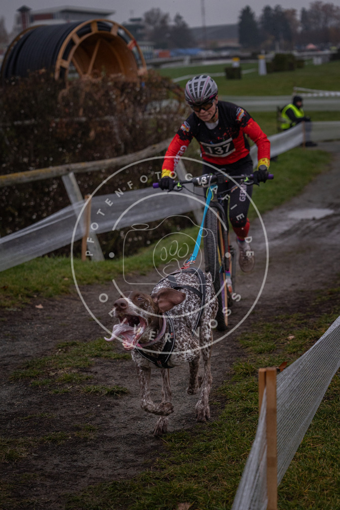 CaniXpix_0L8A0211 | Hundefotografie, Tierfotograf, Pfotenfotografie, Fotoshooting Hund, Hunde Portrait, Hundesport, Hundeportraits, Heideshooting, Hunde, Sportfotograf, Hundefotograf, Turnierhundsport, THS,  - Realisiert mit Pictrs.com