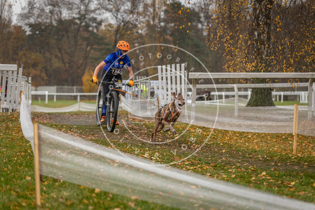 CaniXpix_DV3A8352 | Hundefotografie, Tierfotograf, Pfotenfotografie, Fotoshooting Hund, Hunde Portrait, Hundesport, Hundeportraits, Heideshooting, Hunde, Sportfotograf, Hundefotograf, Turnierhundsport, THS,  - Realisiert mit Pictrs.com