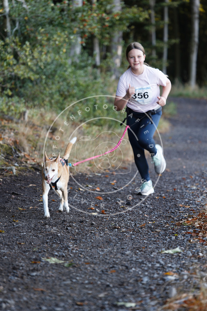 0L8A2201 | Hundefotografie, Tierfotograf, Pfotenfotografie, Fotoshooting Hund, Hunde Portrait, Hundesport, Hundeportraits, Heideshooting, Hunde, Sportfotograf, Hundefotograf, Turnierhundsport, THS,  - Realisiert mit Pictrs.com