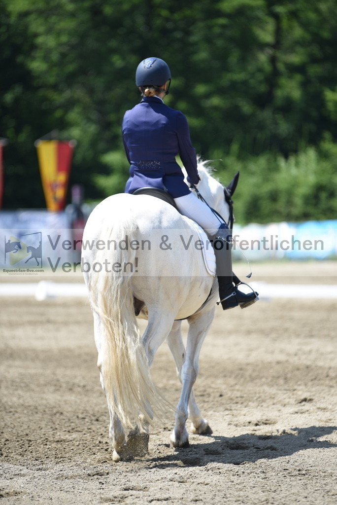 DSC_0284 | equestrian-live-com