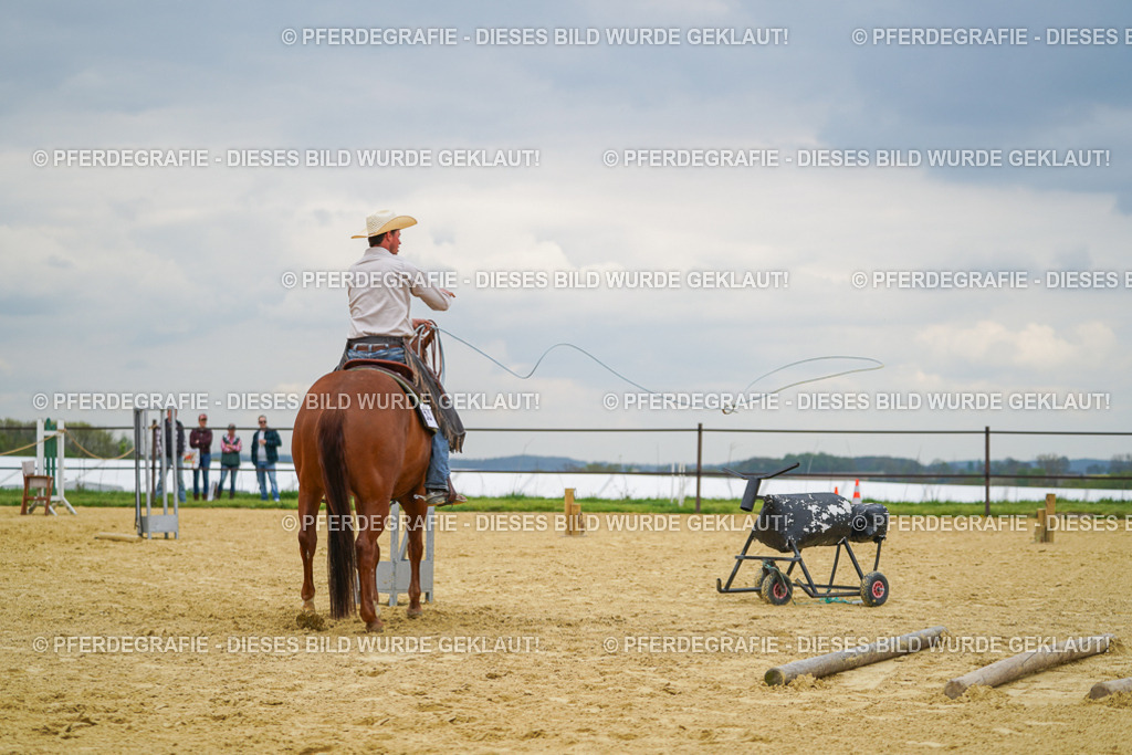 DSC07154 | Pferdegrafie