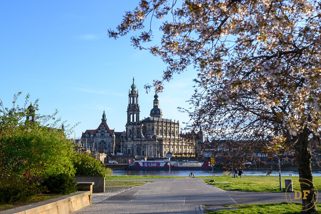 9483-DOM-DD-Blüten-View. | Geschenke, Wandbilder und Accessoires mit Motiven aus Dresden und anderen schönen Orten zur Verschönerung Deines zu Hauses und zum verschenken gewünscht? Wähle Deine Lieblingsbild auf dem Produkt Deiner Wahl. 