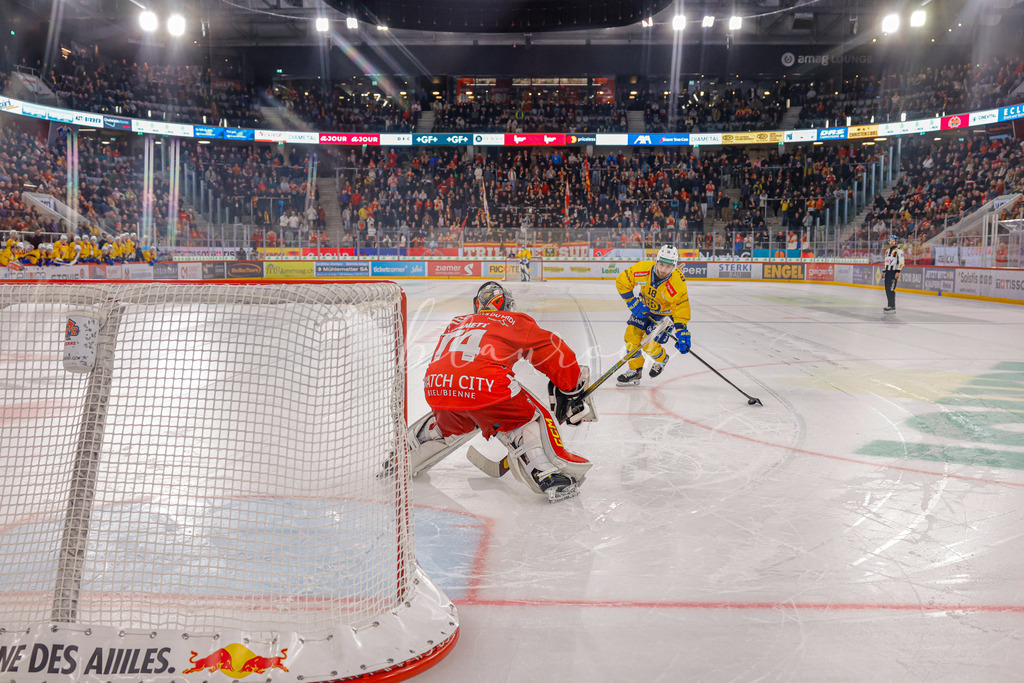 EHCB vs HCD 20260106_wb-1353 | Sportbilder, Sportfotograf, Hochzeits- und Eventfotografin, Flugshows, Portraits und Tiershooting, Aviation, Downhill, Nationalleague, Swissleague, International